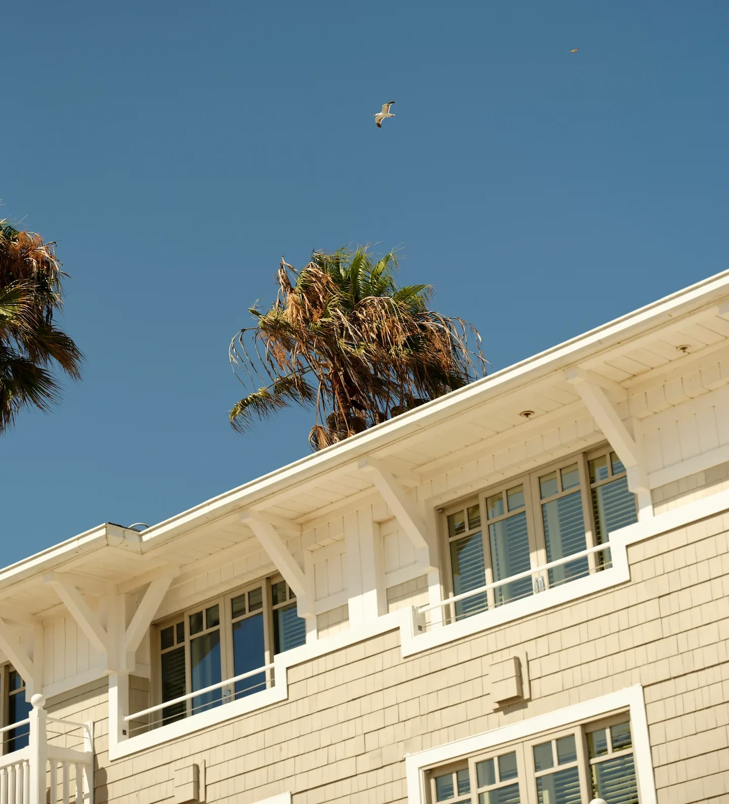 Light beige coastal building with white trim and palm trees, seagull soaring against clear blue sky.