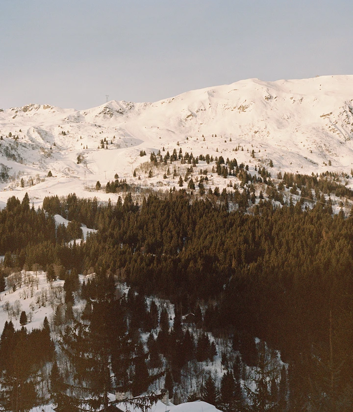 Snow-covered mountains and evergreen forest under clear blue sky in serene winter landscape.