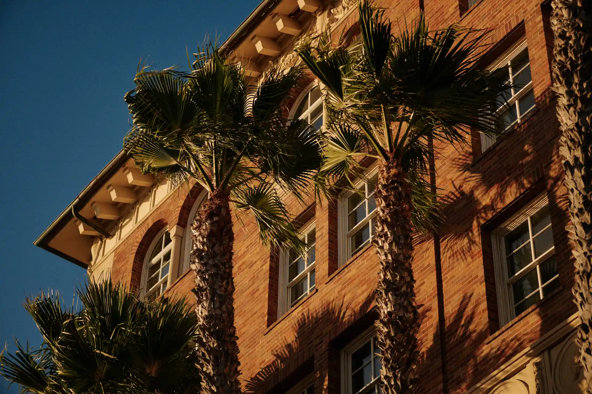 Brick building with white-framed windows and tall palm trees casting shadows in warm golden-hour light.