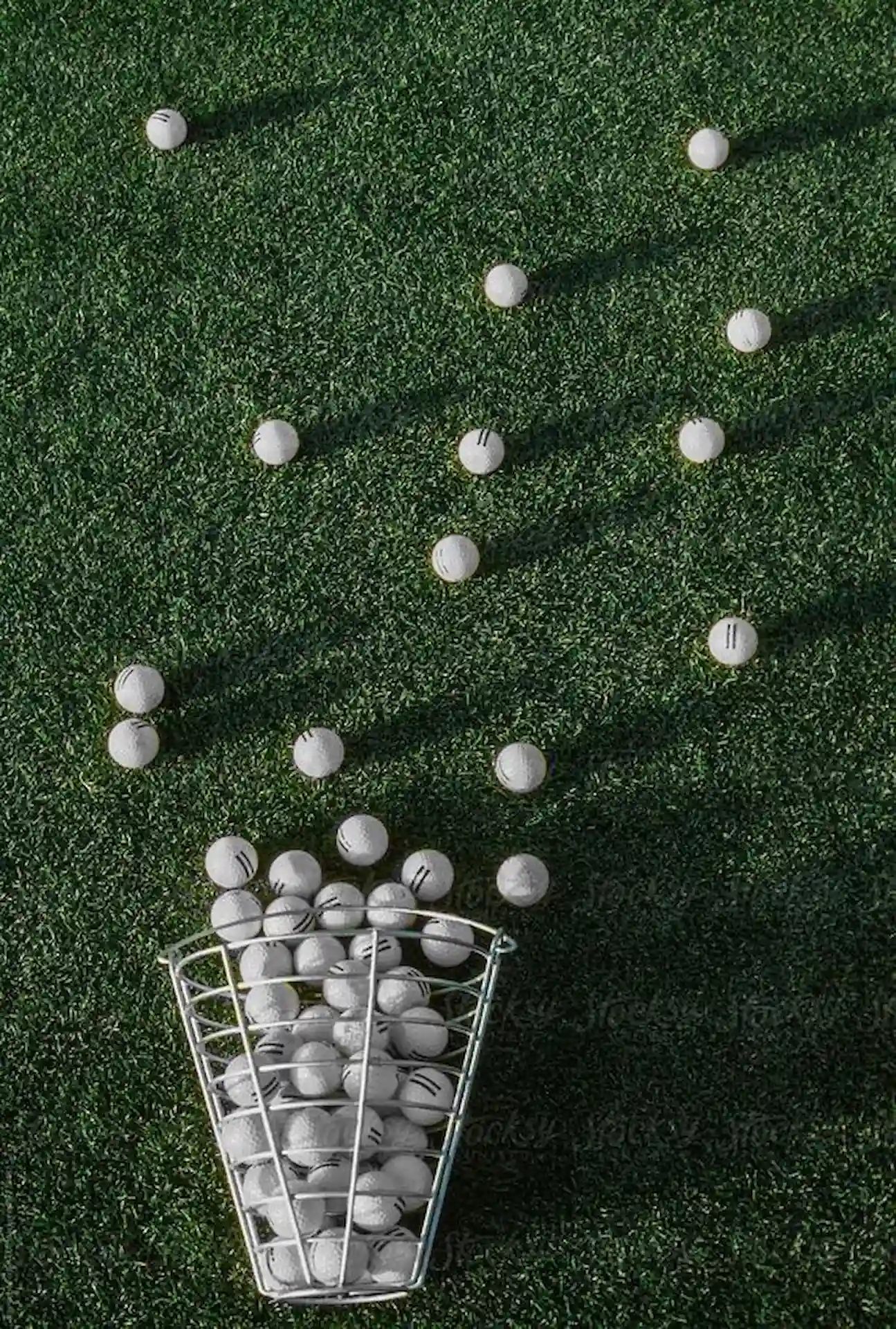 Metal basket of white golf balls on green turf, with scattered balls casting long shadows in arc formation.